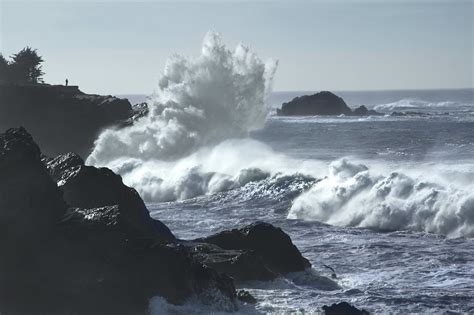 King Tides 2024 Oregon Coast Map Elana Madella