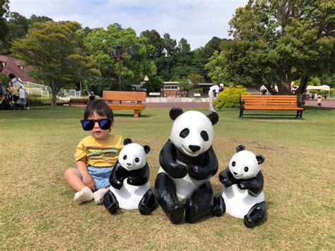 南紀白浜アドベンチャーワールド一泊二日子連れ旅行【週末旅行】 コムツブログ