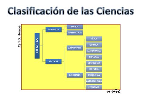 Profe NiÑo ClasificaciÓn De Las Ciencias