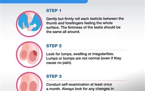 Testicular Self Exam Steps