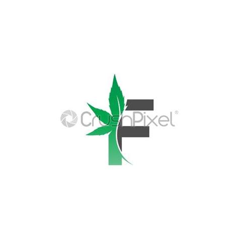 Letter F Logo Icon With Cannabis Leaf Design Vector Stock Vector