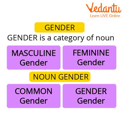 The Noun Gender Class 5 Cbse English Grammar Chapter 4 [pdf]