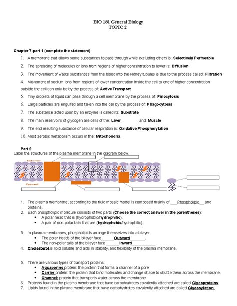 WEEK 4 HW CH 7 Worksheet BIO 181 General Biology TOPIC 2 Chapter 7