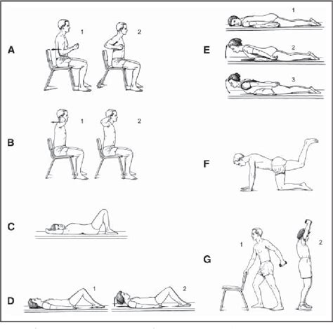 [pdf] Musculoskeletal Rehabilitation In Patients With Osteoporosis Rehabilitation Of