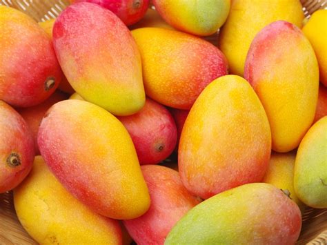 Como Conservar Mangos