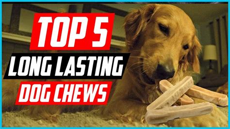 The Best Long Lasting Dog Chews for Your Furry Friend