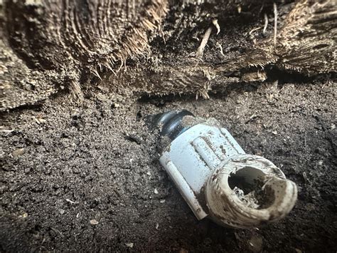 Leaking sprinkler. I removed the sprinkler body and found the treads on
