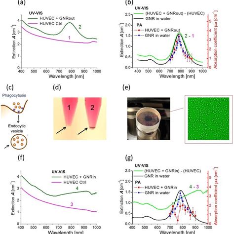 Principle of UV-VIS spectrophotometry. (a) Detected UV-VIS spectrum for ...