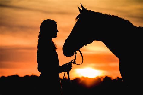 23++ Horse silhouette sunset images ideas | smallhorsestabledesigns