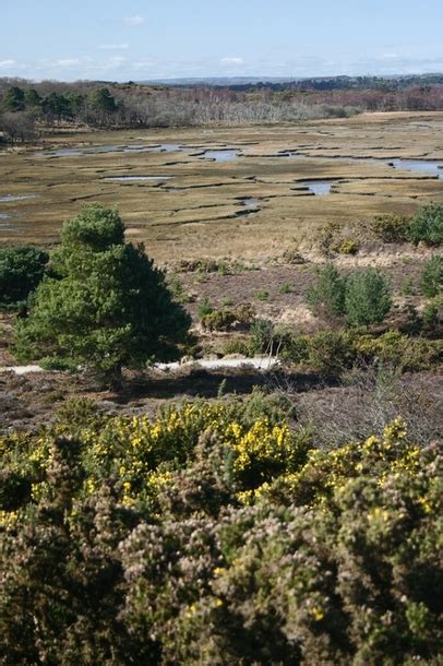 Arne RSPB Reserve - www.dorsetcamper.com