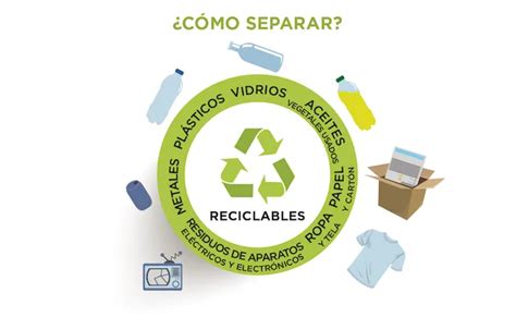 ¡conoce Cómo Separar La Basura Fácilmente Para Ayudar Al Planeta