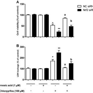 The Effects Of Nrf Sirna H On Cell Viability A And Ldh Leakage