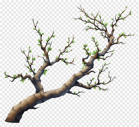 Hand Drawn Tree Branch Png PNGWing