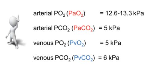 Topic 8 Oxygen And Carbon Dioxide Transport Flashcards Quizlet