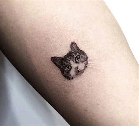 Rad Cat Tattoos To Immortalize Your Companion Artofit