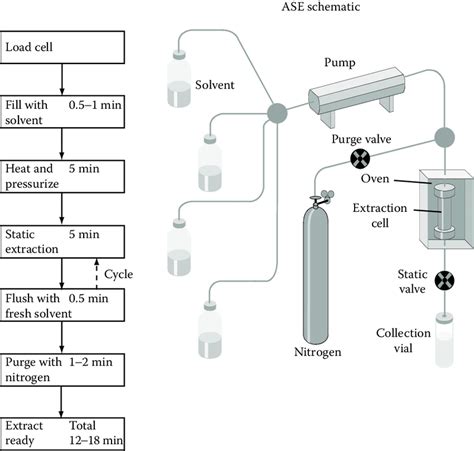 Schematic Diagram Of The Operational Steps Of The Dionex Ase