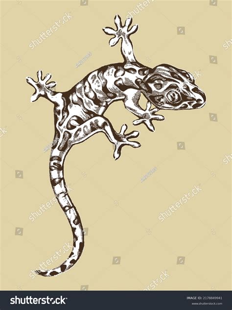 Hand Drawn Portrait Lizard Line Art Stock Vector Royalty Free