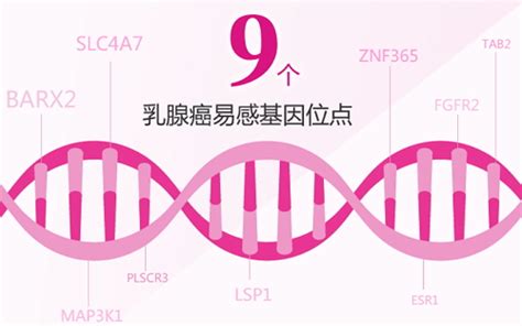 中国乳腺癌这几年：从基因检测到构建全民数据库