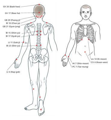 Meridian Exercises And Acupressure Points For High Blood Pressure