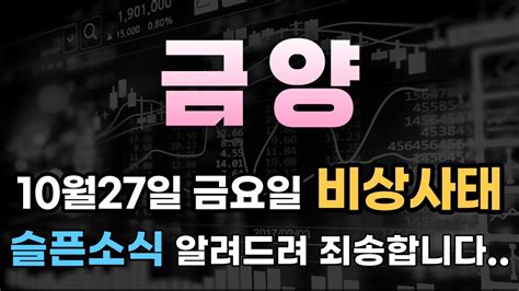 주가전망 금양 🔥10월30일 월요일 10분전 긴급속보 이 내용 모르면 큰일납니다 주주님들 필수시청 Youtube