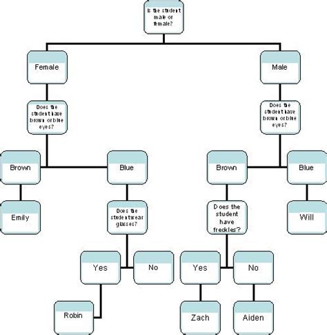 How To Make A Dichotomous Key Experiment Science