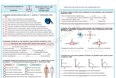 S N F Fen Bilimleri D Nem Yaz L Sorular Ve Cevaplar