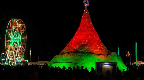 Sandi Tree lights up West Palm Beach for Christmas, the holidays