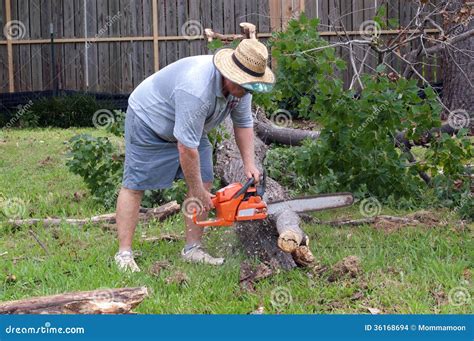 Man Cutting Up A Tree With Chainsaw Stock Images Image 36168694