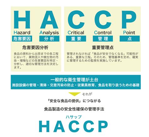 Haccp