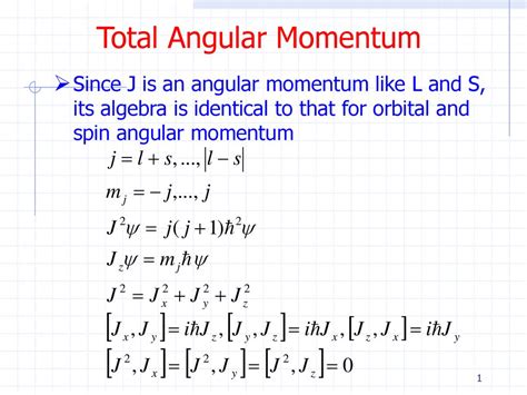 Angular Momentum Equation