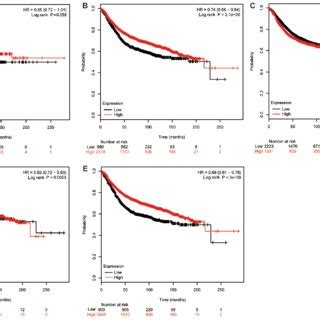 Prognostic Effect Of Ephb Receptor Expression Kaplan Meier Plots Of