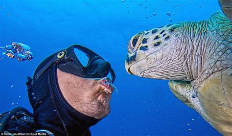 Scuba Divers Stunning Photographs As He Swims With Giant Sea Turtles