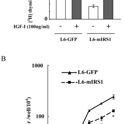 A Methyl 3H Thymidine Incorporation Into DNA Was Measured During The