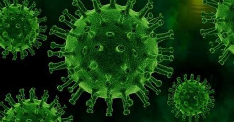 Covid I Casi Nella Provincia Di Latina I Decessi La Met A Terracina Latina Tu