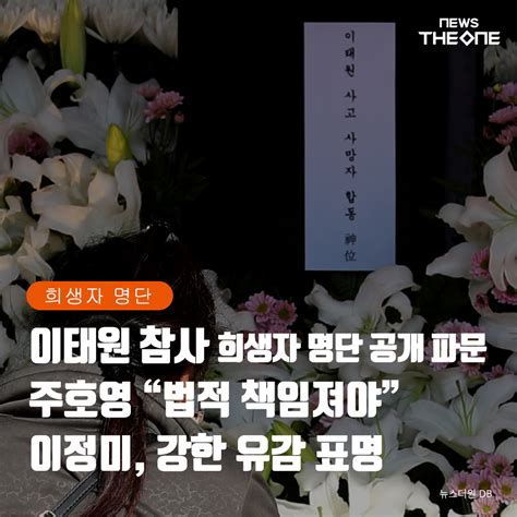 카드뉴스 이태원 참사 희생자 명단 공개 파문