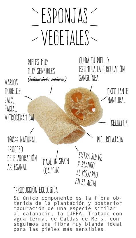 Beneficios De La Esponja Vegetal Beneficios Luffa Bienestar C Smico