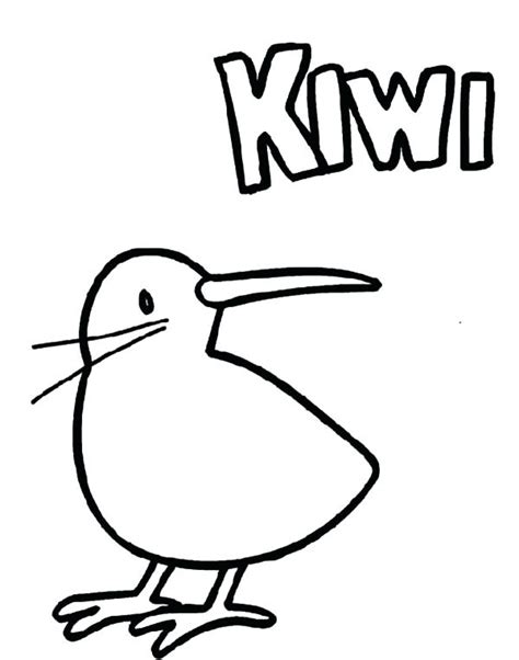 Kiwi Bird Drawing at GetDrawings | Free download