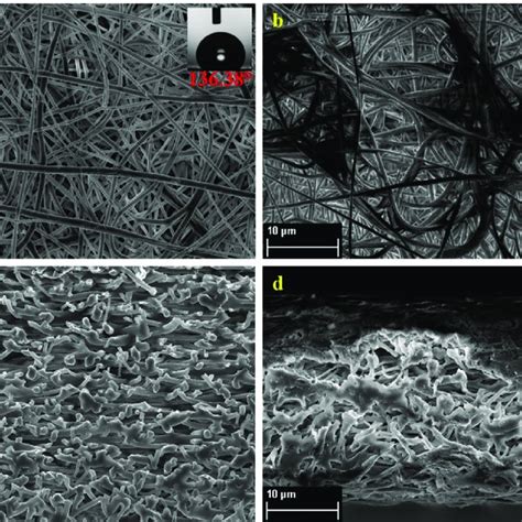 Fesem Images Of The A B Top Surface Of And C D Cross Section Of