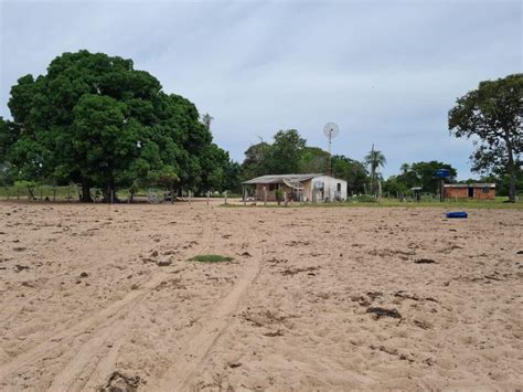 FAZENDA NO PANTANAL DO PAIAGUÁS COXIM MS Banco de Terras