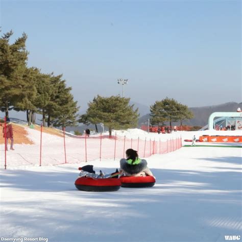 Try Sledding And Snow Tubing In Korea Best Places To Visit