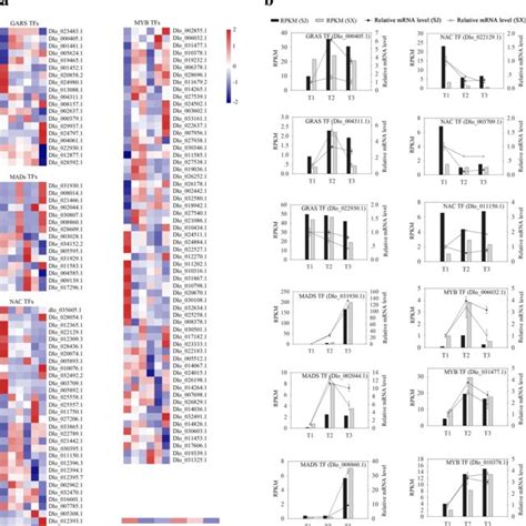 Expression Profiles Of Transcription Factor Related Genes And Qrt Pcr