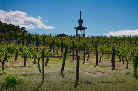 Russian Chapel Hills Winery 🍇 Wineries And Vineyards For Sale