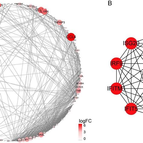 A Protein Protein Interaction Network Of Degs Constructed Using