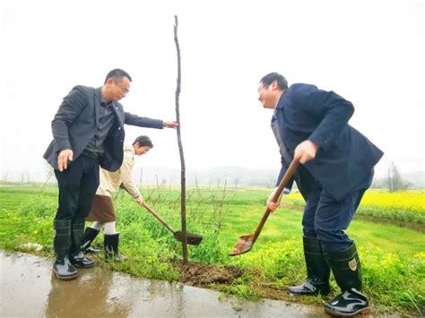 常德市第四人民医院开展春季植树活动 医院汇 丁香园