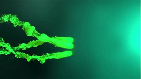 Brasileiras Batendo Siririca Search Xvideos