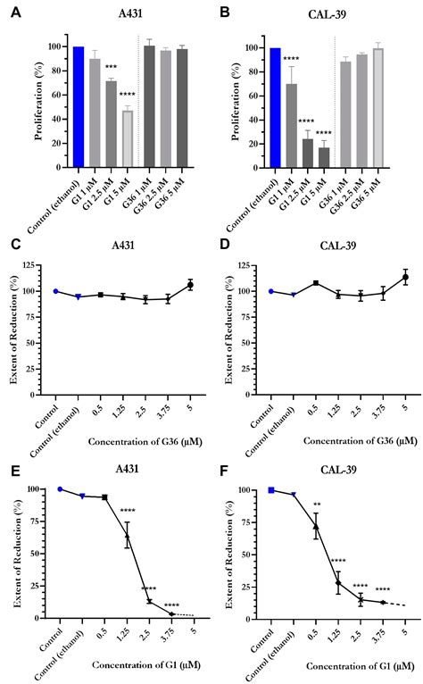 Ijms Free Full Text Activation Of G Protein Coupled Estrogen