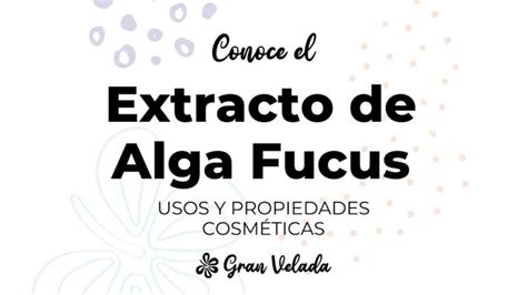 Beneficios Del Extracto De Algas Para La Piel