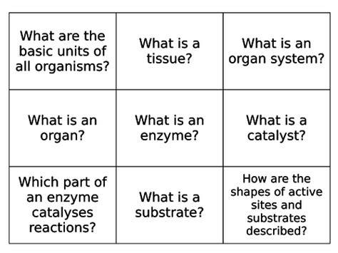 Aqa 9 1 Biology Trilogy Organisation Digestion And Enzymes Flash