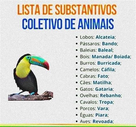 Animal É Substantivo