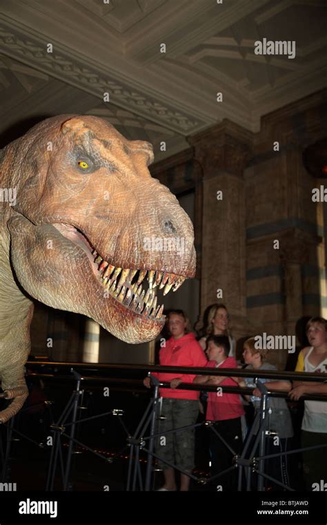 T Rex Giant Animatronic Model Natural History Museum London England United Kingdom Stock